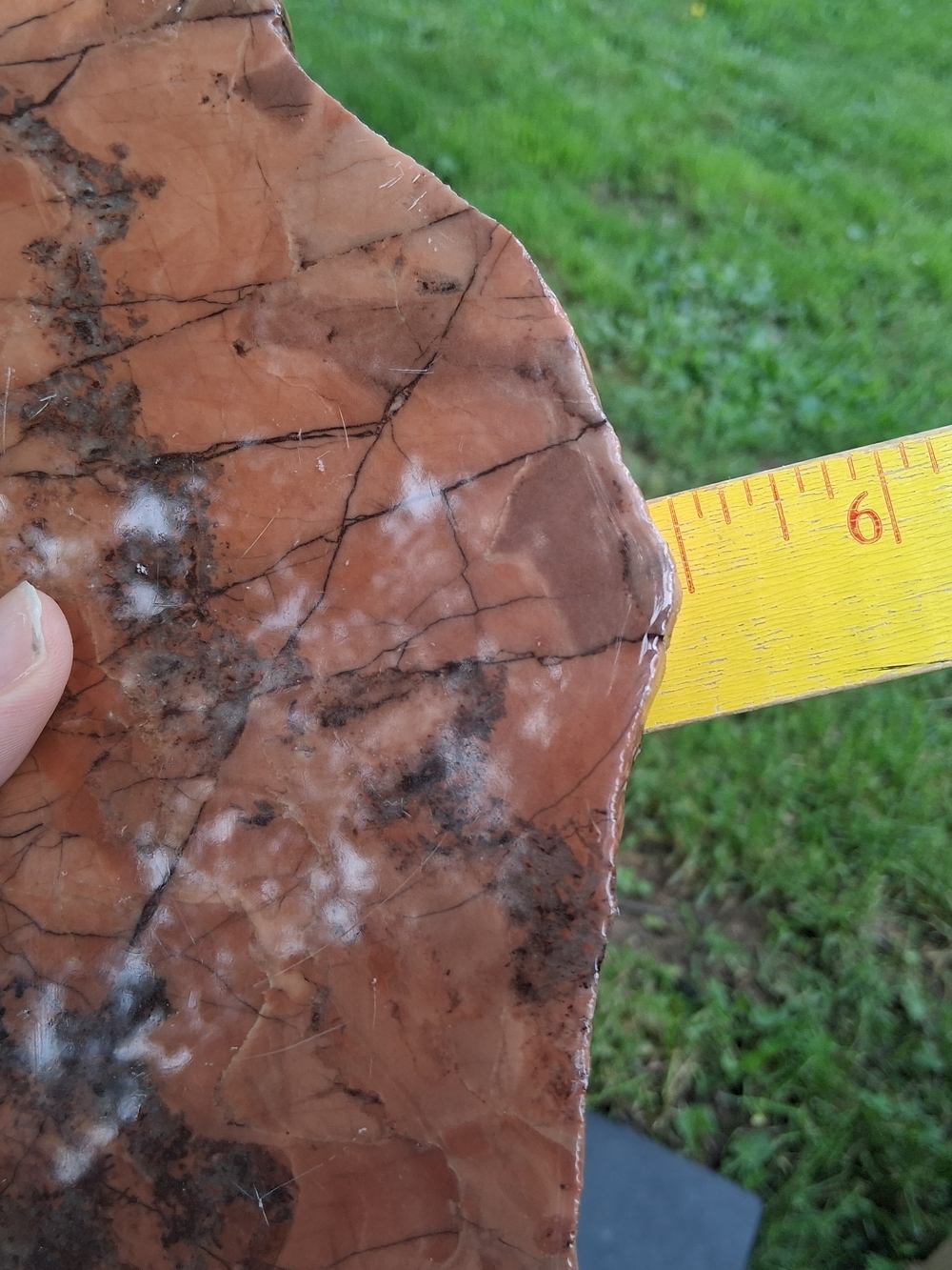 Kona Dolomite Polished Slab Display 8.5" Stone Rock Specimen Michigan - Picture 10 of 10